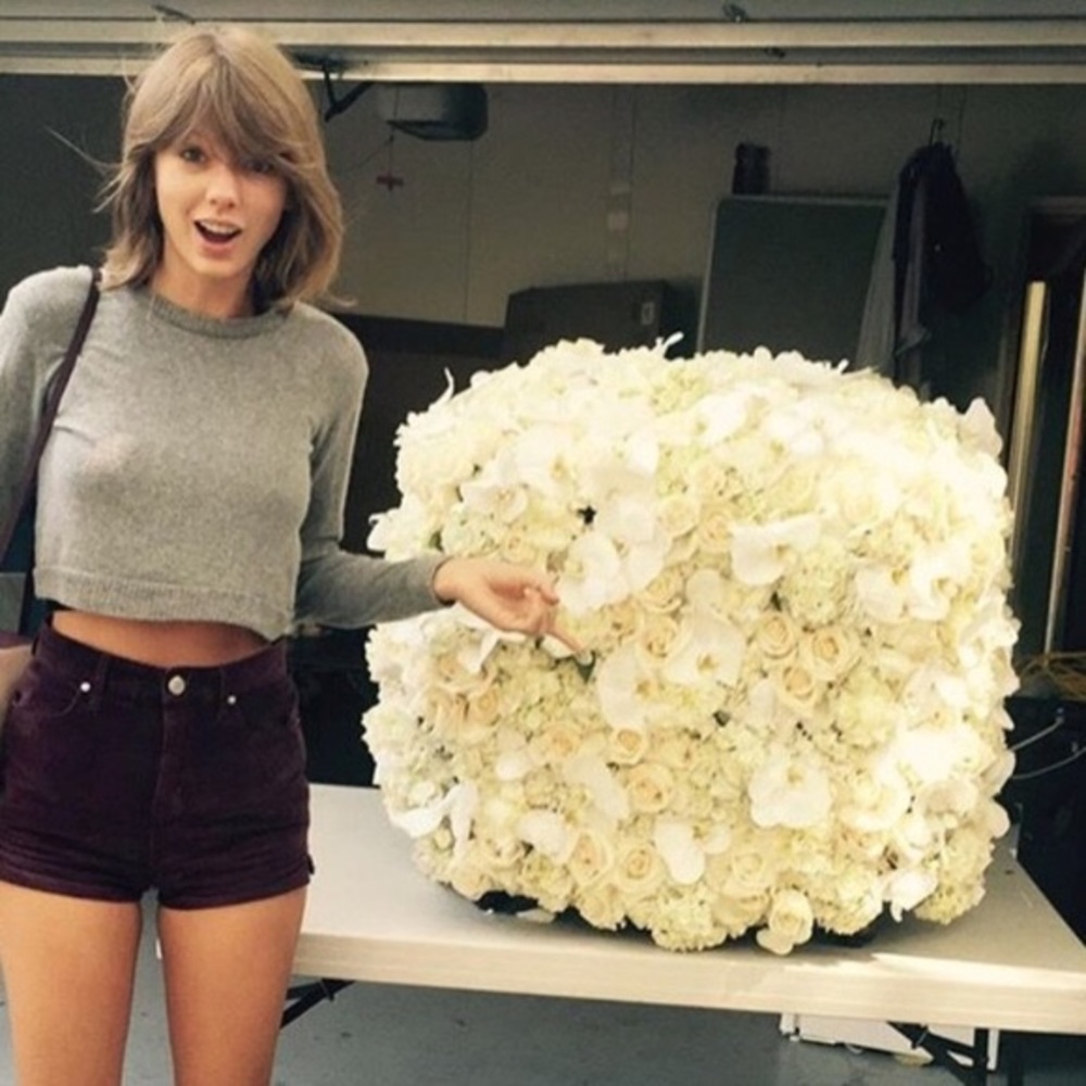 Brandy Melville Angora Cropped Sweater